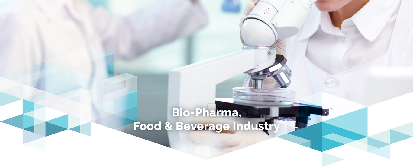 Pharmaceutical Industry