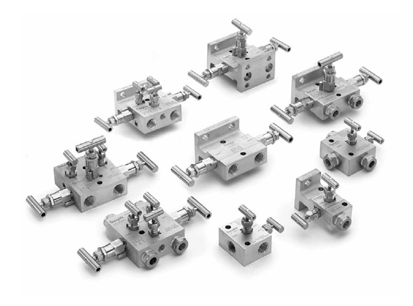 Manifold Valves